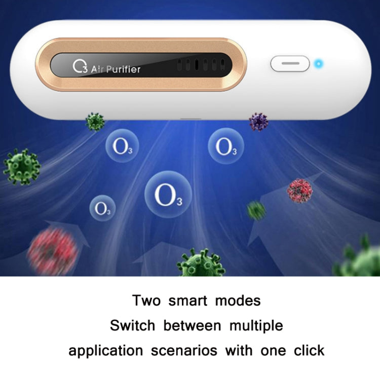 Home Refrigerator Deodorizer