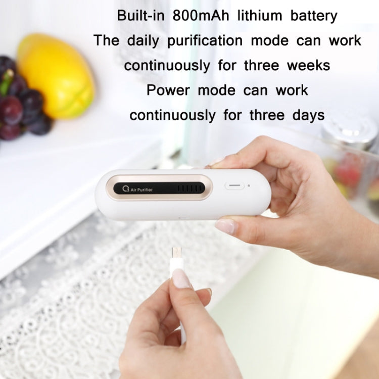 Home Refrigerator Deodorizer
