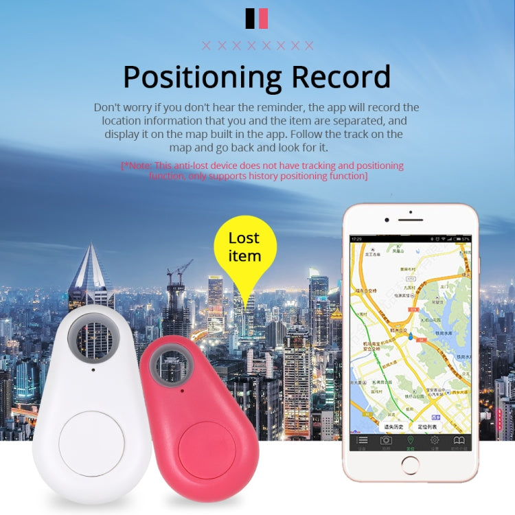 GPS Wallet/Keyfinder