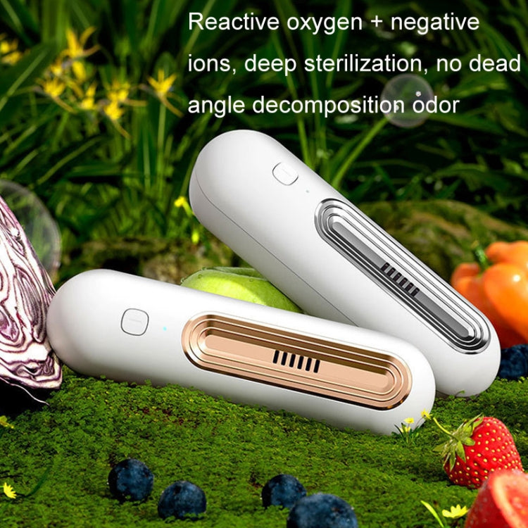 Refrigerator Deordorizer Sterilizer
