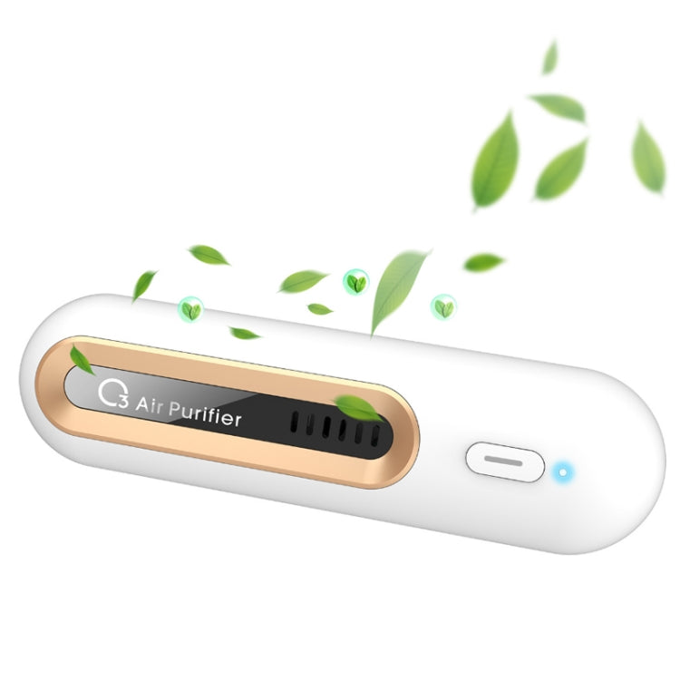 Home Refrigerator Deodorizer