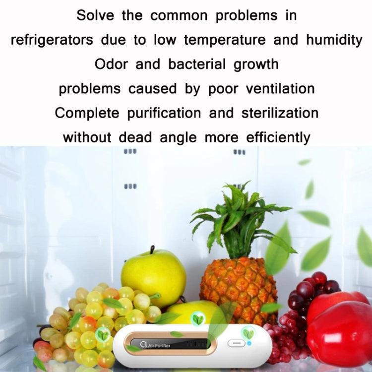 Home Refrigerator Deodorizer