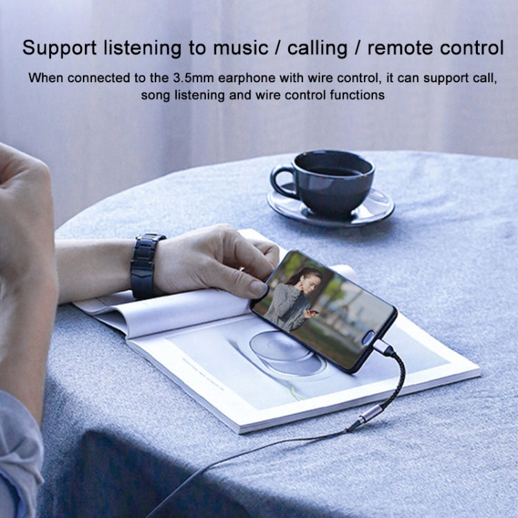 USB-C / Type-C Male to 3.5mm Audio Female Adapter